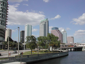South Tampa Real Estate